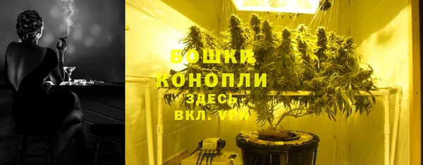 индика Волосово