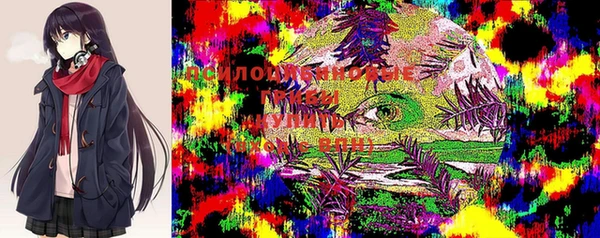 индика Волосово