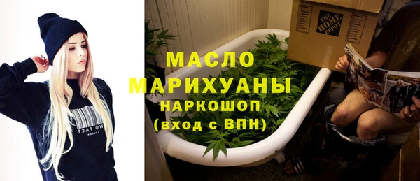индика Волосово